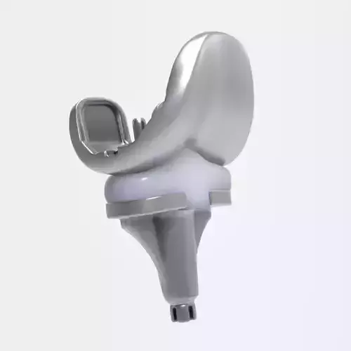 Knee Replacement Implant 3D model