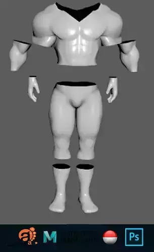 costume for the character