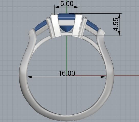 Female ring 250 3D print model_1