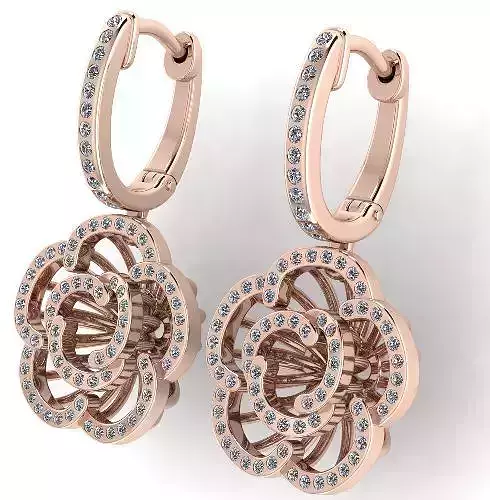 Earrings  210