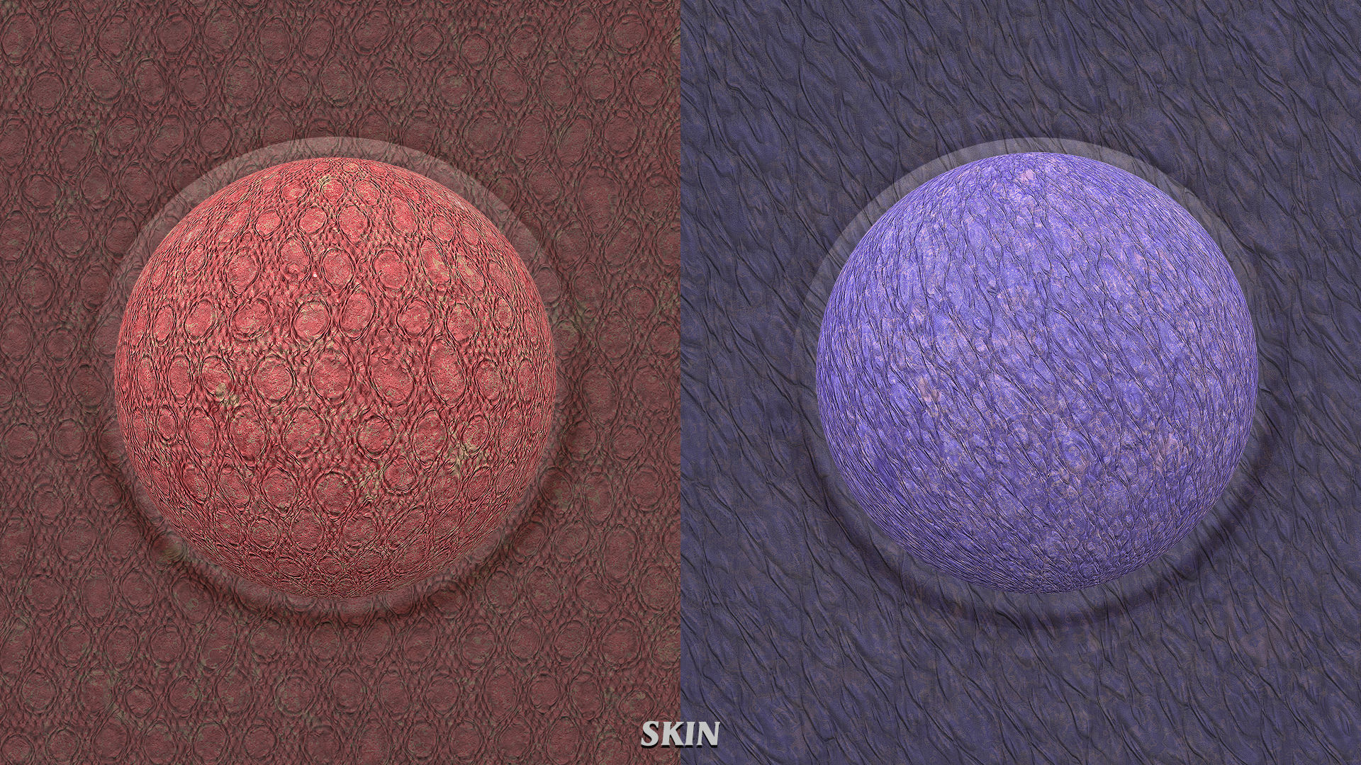 DRAGON PBR Pack Texture_29