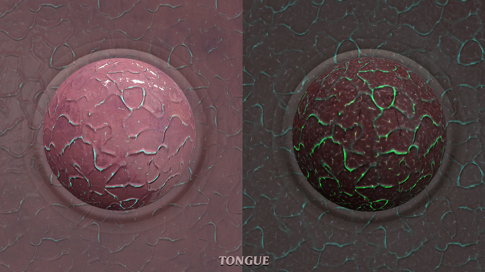 DRAGON PBR Pack Texture_24