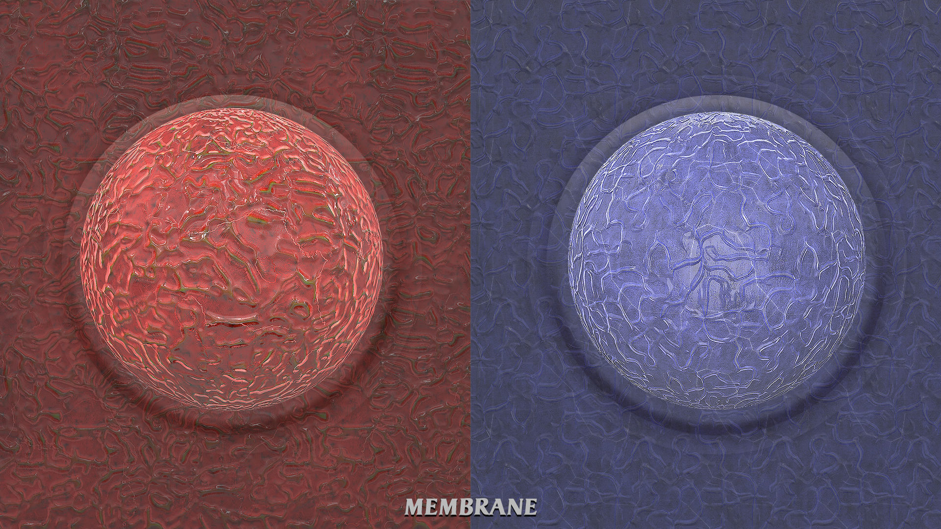 DRAGON PBR Pack Texture_15