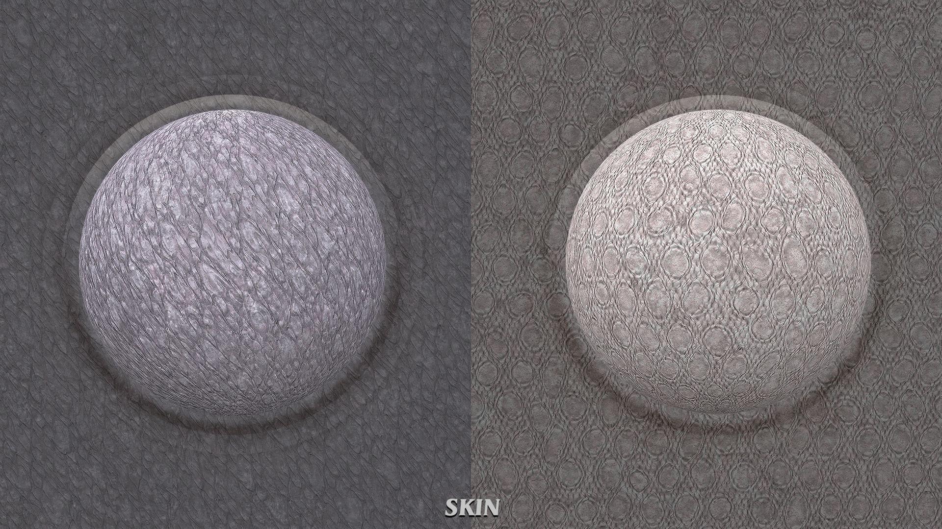 DRAGON PBR Pack Texture_30