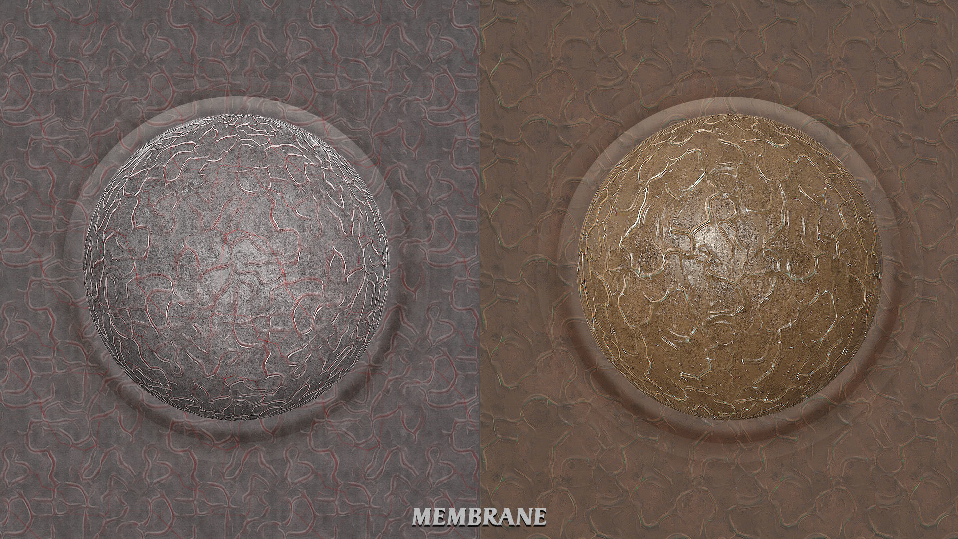 DRAGON PBR Pack Texture_14