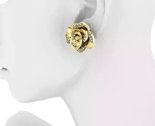 Beautiful earrings  184