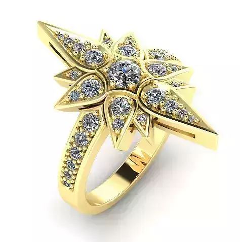 Shtern Beautiful ring  163