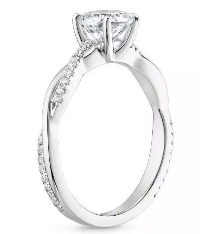 Rings 286 3D print model_0