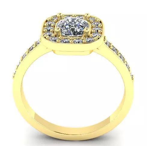 Female ring 260 3D print model_0