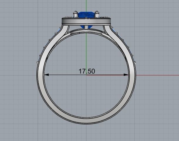 Female ring 260 3D print model_2