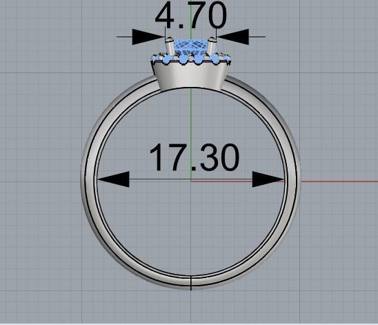 Female ring 258 3D print model_1