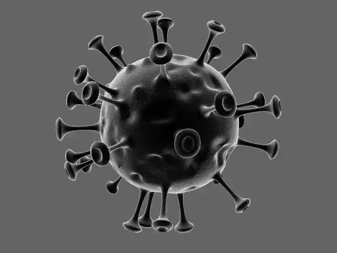 Coronavirus nCoV novel-1