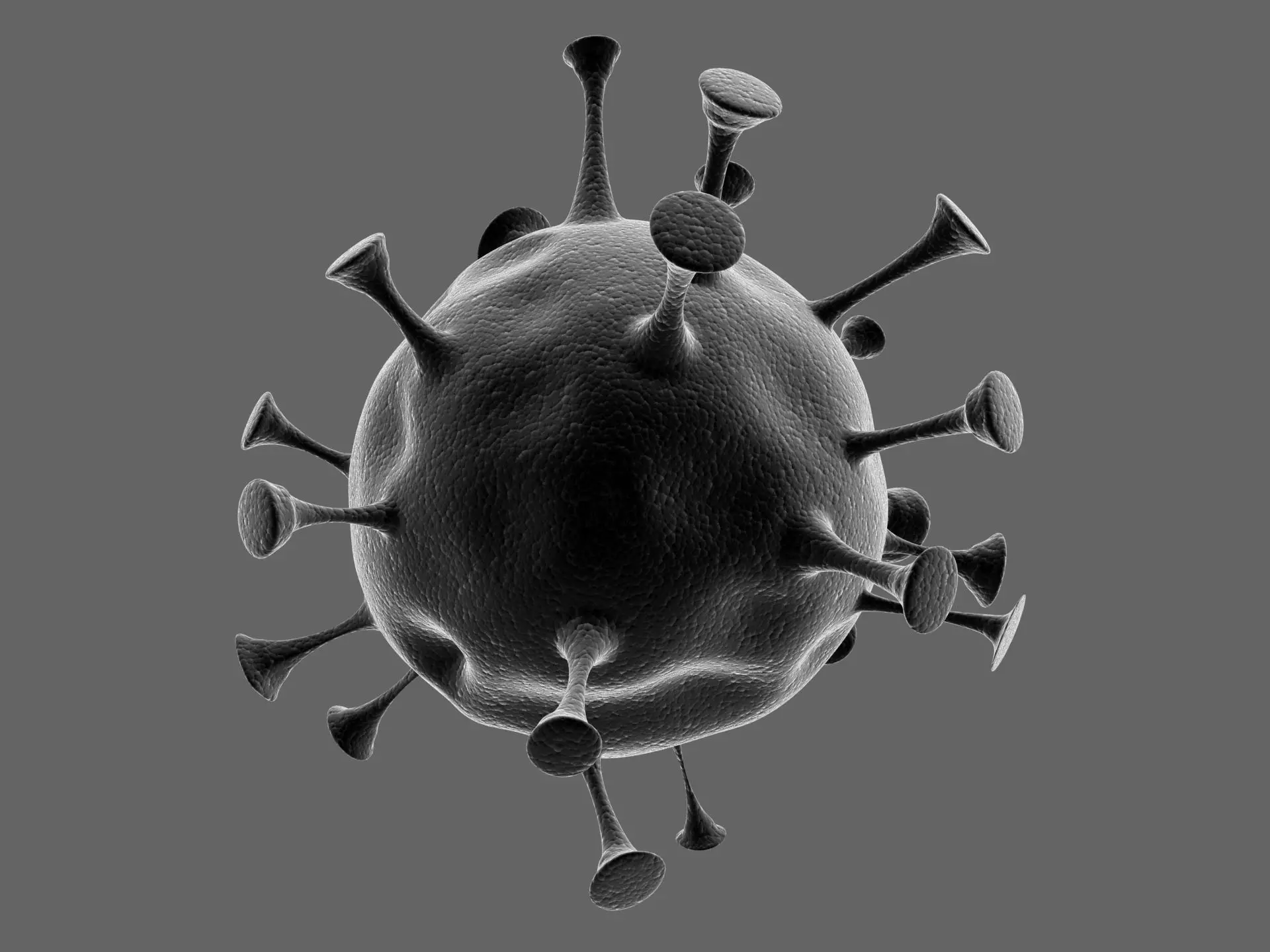 Coronavirus nCoV novel-2 3D model