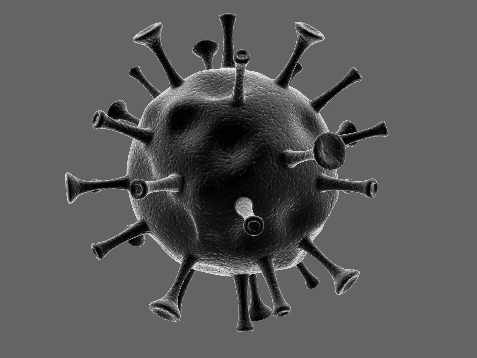 Coronavirus nCoV novel-3 3D model