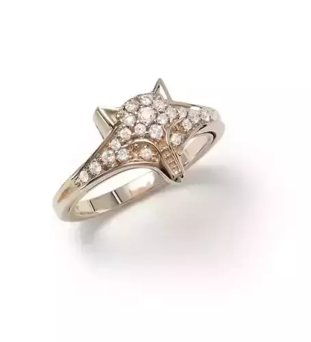 Beautiful ring  322