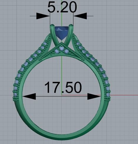 Ring 384 3D print model_2