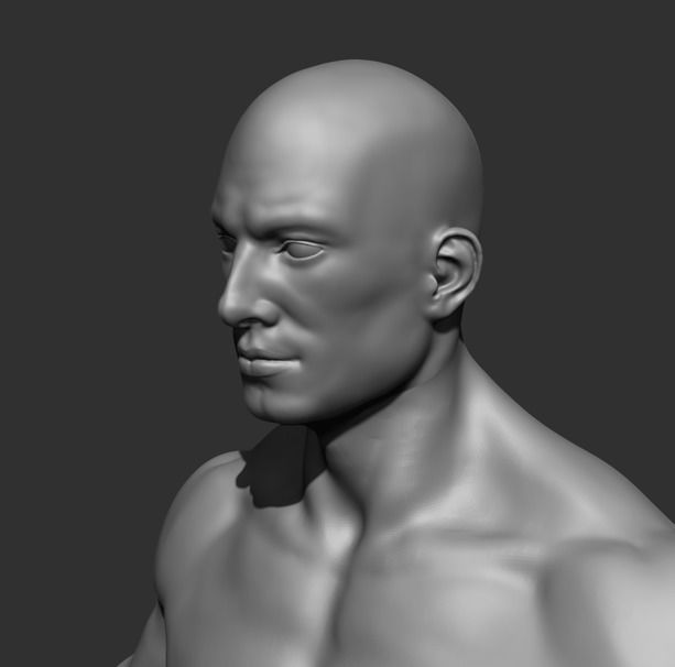 Human Anatomy Base Sculpture High Poly 3D Model 3D model_19