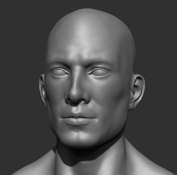 Human Anatomy Base Sculpture High Poly 3D Model 3D model_7