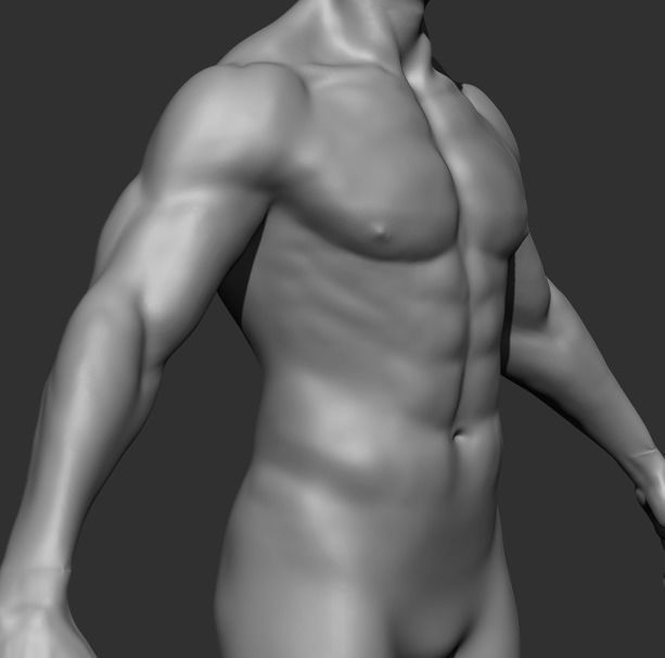 Human Anatomy Base Sculpture High Poly 3D Model 3D model_15