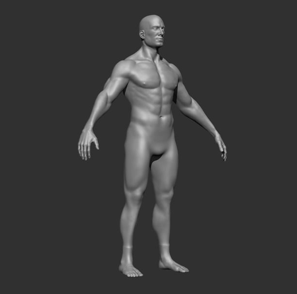 Human Anatomy Base Sculpture High Poly 3D Model 3D model_1