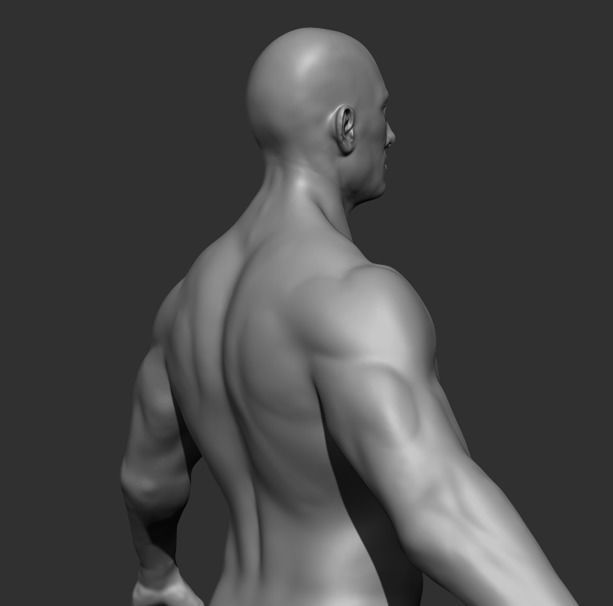 Human Anatomy Base Sculpture High Poly 3D Model 3D model_12