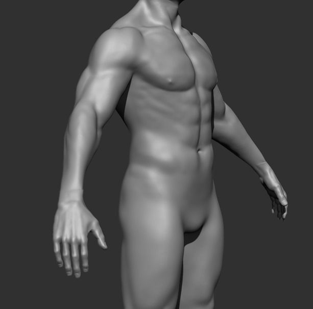 Human Anatomy Base Sculpture High Poly 3D Model 3D model_11