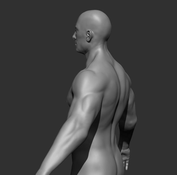 Human Anatomy Base Sculpture High Poly 3D Model 3D model_9