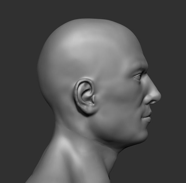 Human Anatomy Base Sculpture High Poly 3D Model 3D model_14