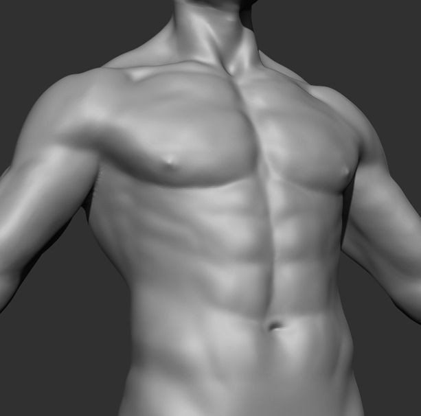 Human Anatomy Base Sculpture High Poly 3D Model 3D model_6