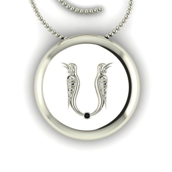 Bird-calligraphy pendants S 3D print model_13