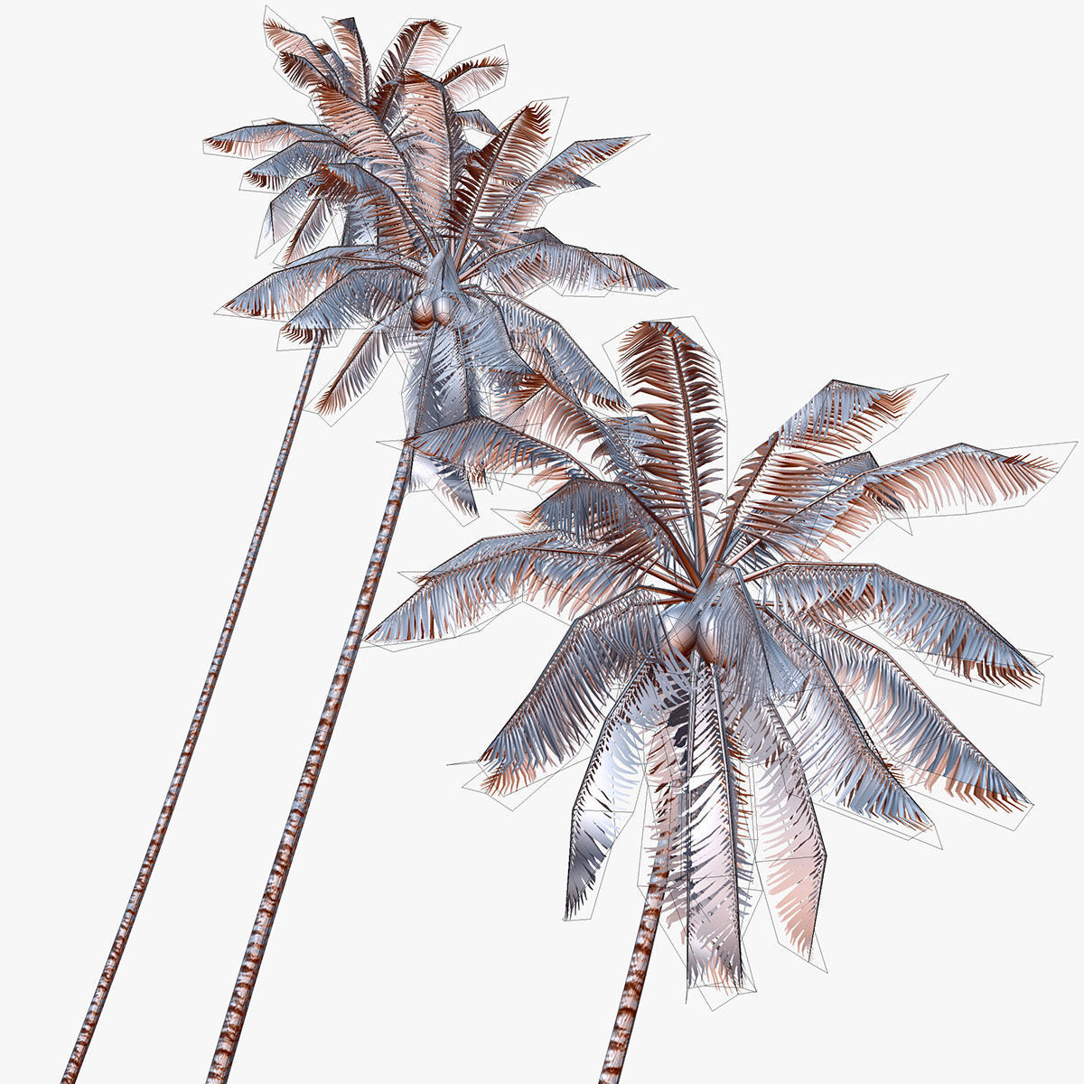 Coconut palm tree 04 - Low Poly Low-poly 3D model_6