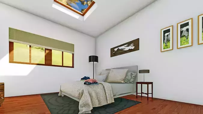 House Interior and Exterior 