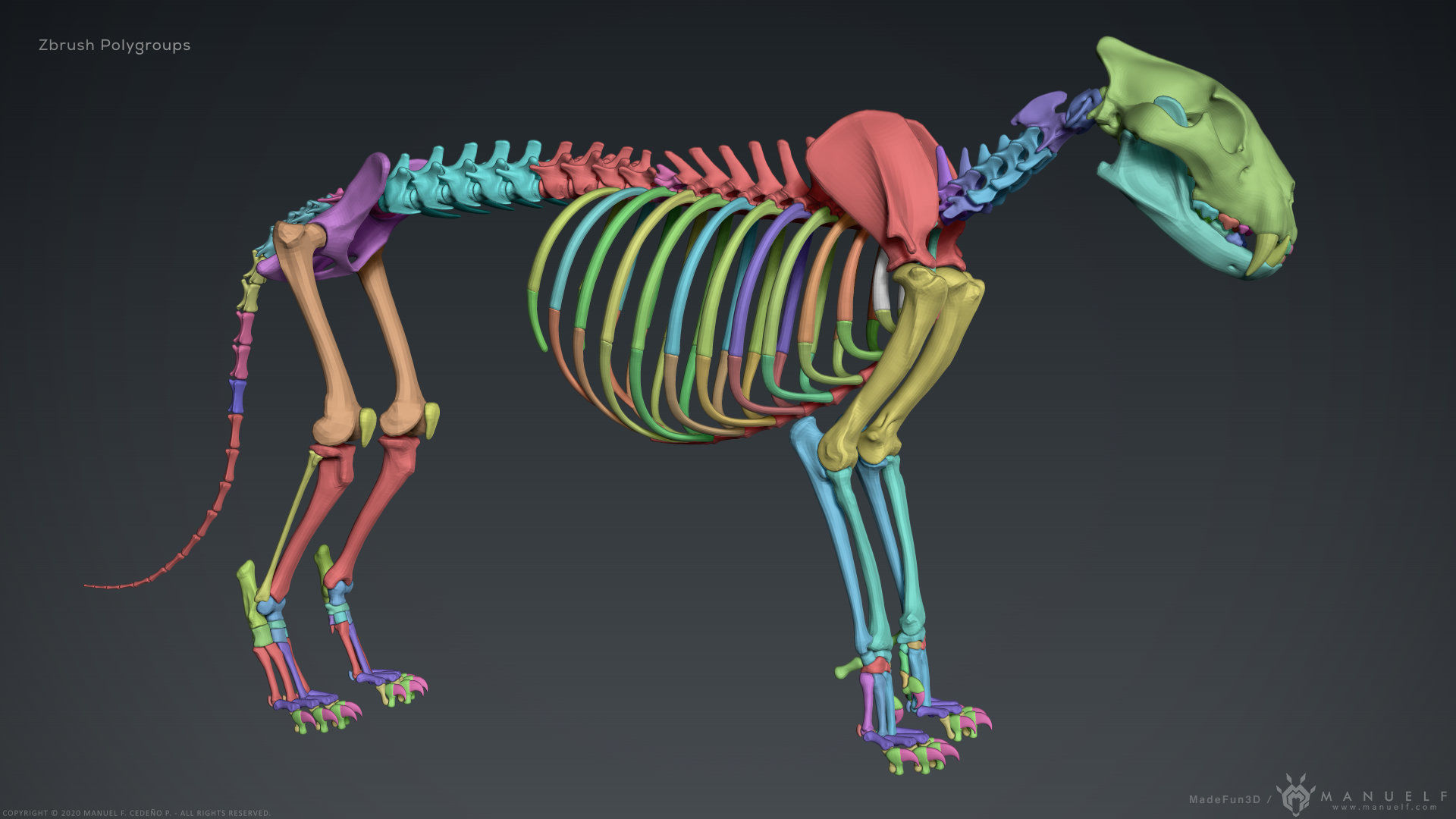 3D Lion Skeleton Sculpture 3D model_26