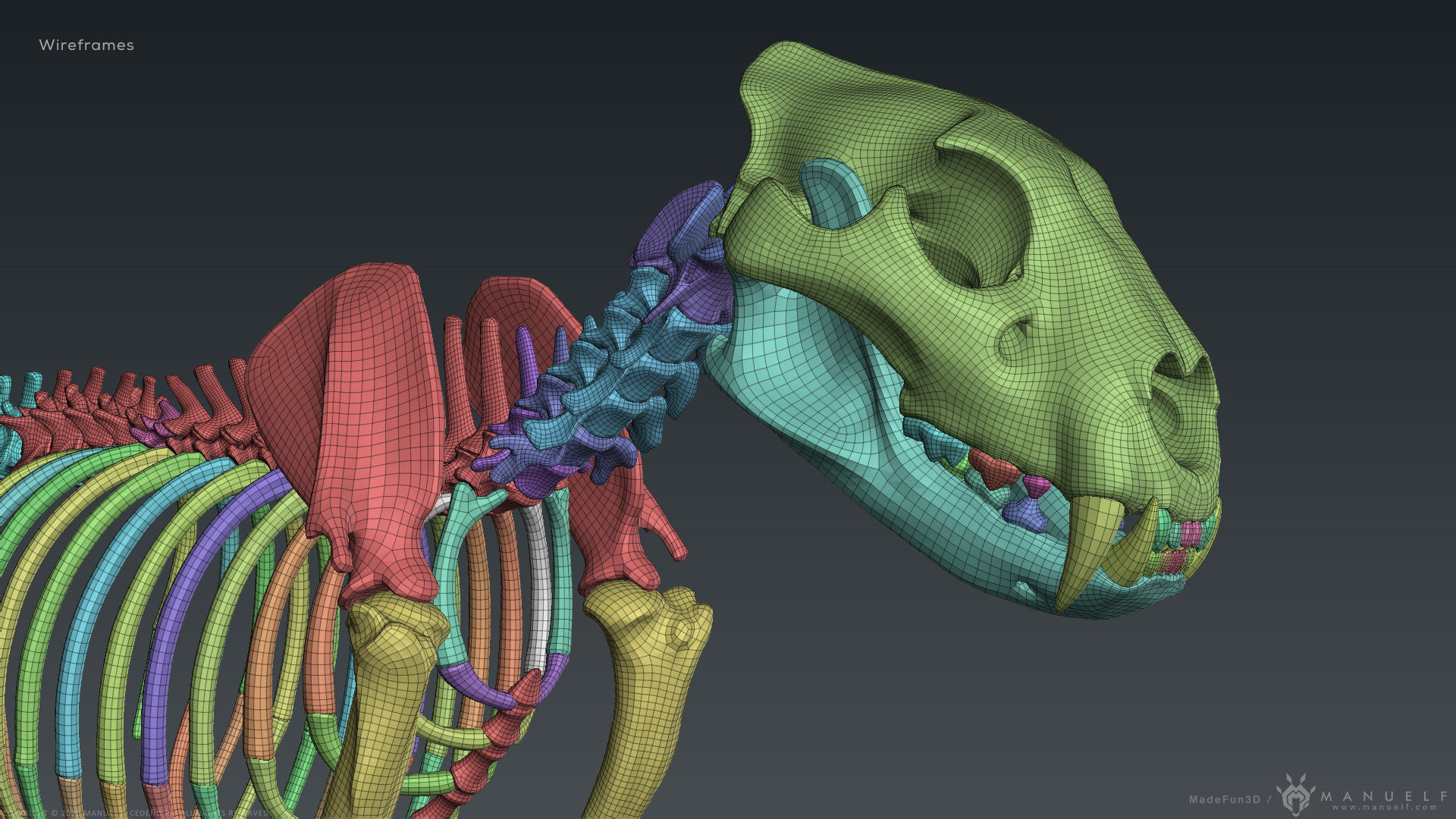 3D Lion Skeleton Sculpture 3D model_28
