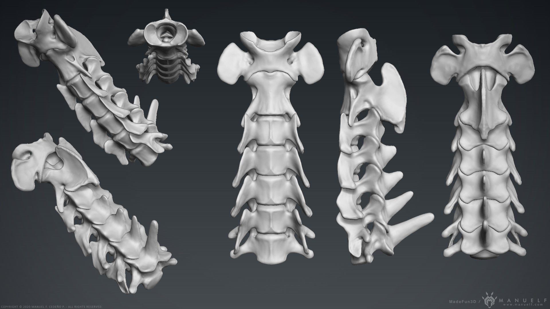 3D Lion Skeleton Sculpture 3D model_13