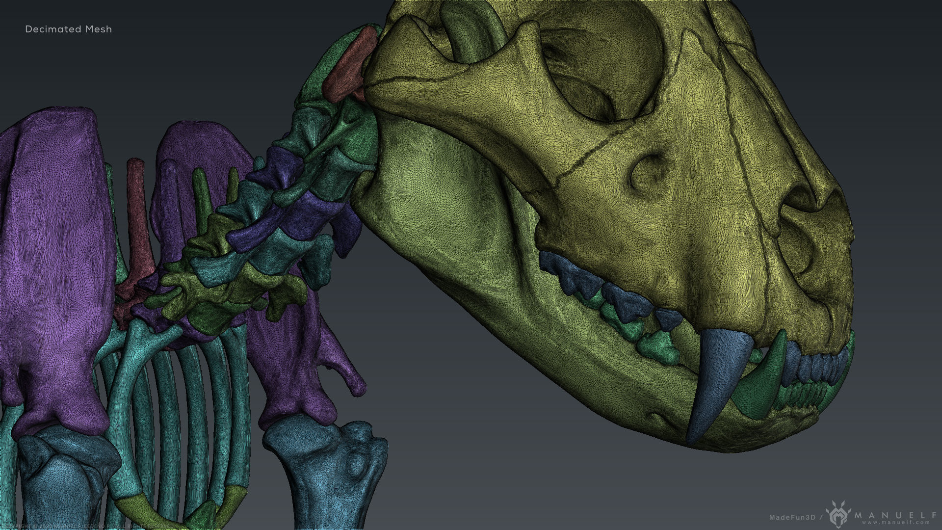 3D Lion Skeleton Sculpture 3D model_30