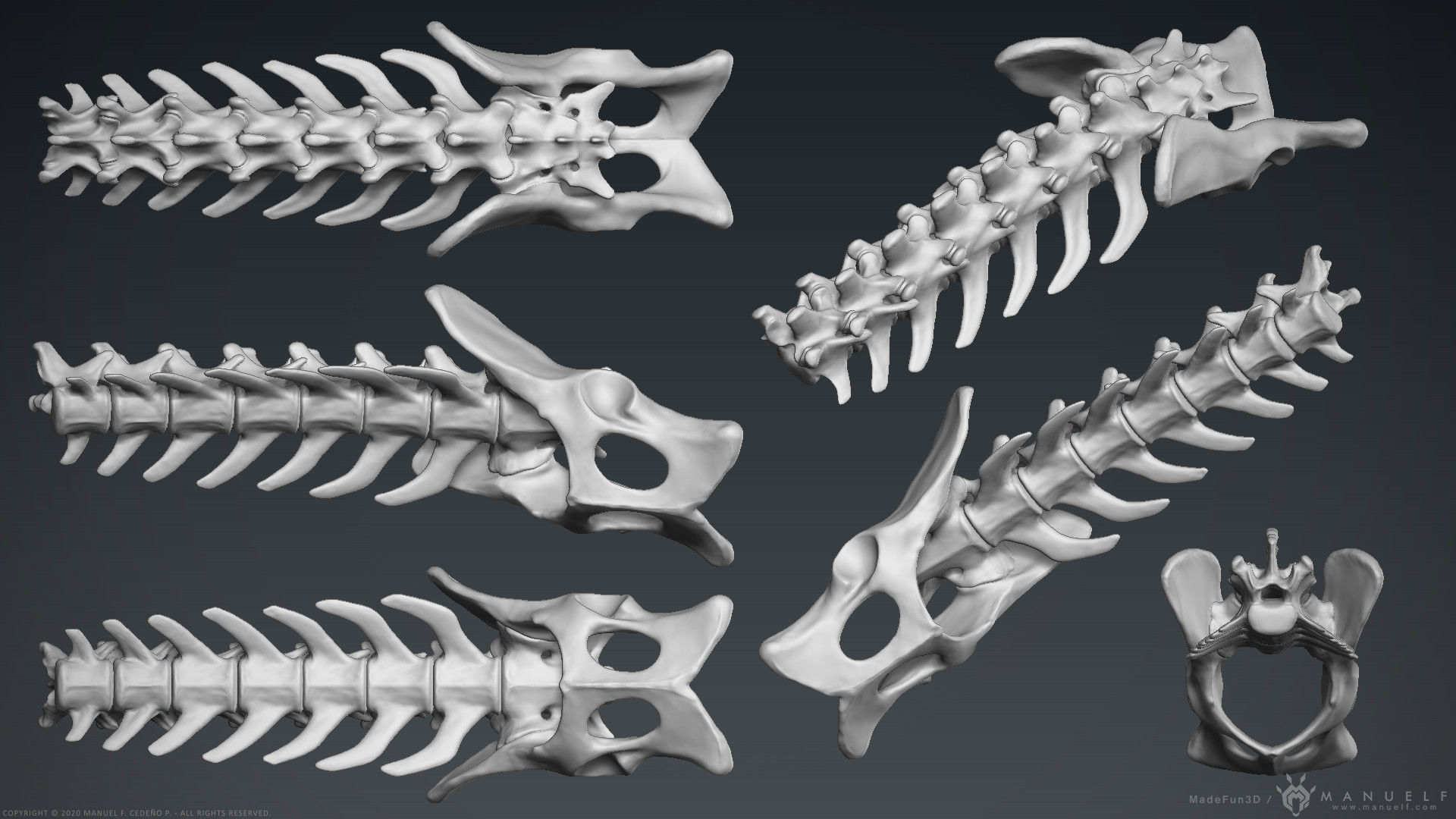 3D Lion Skeleton Sculpture 3D model_15