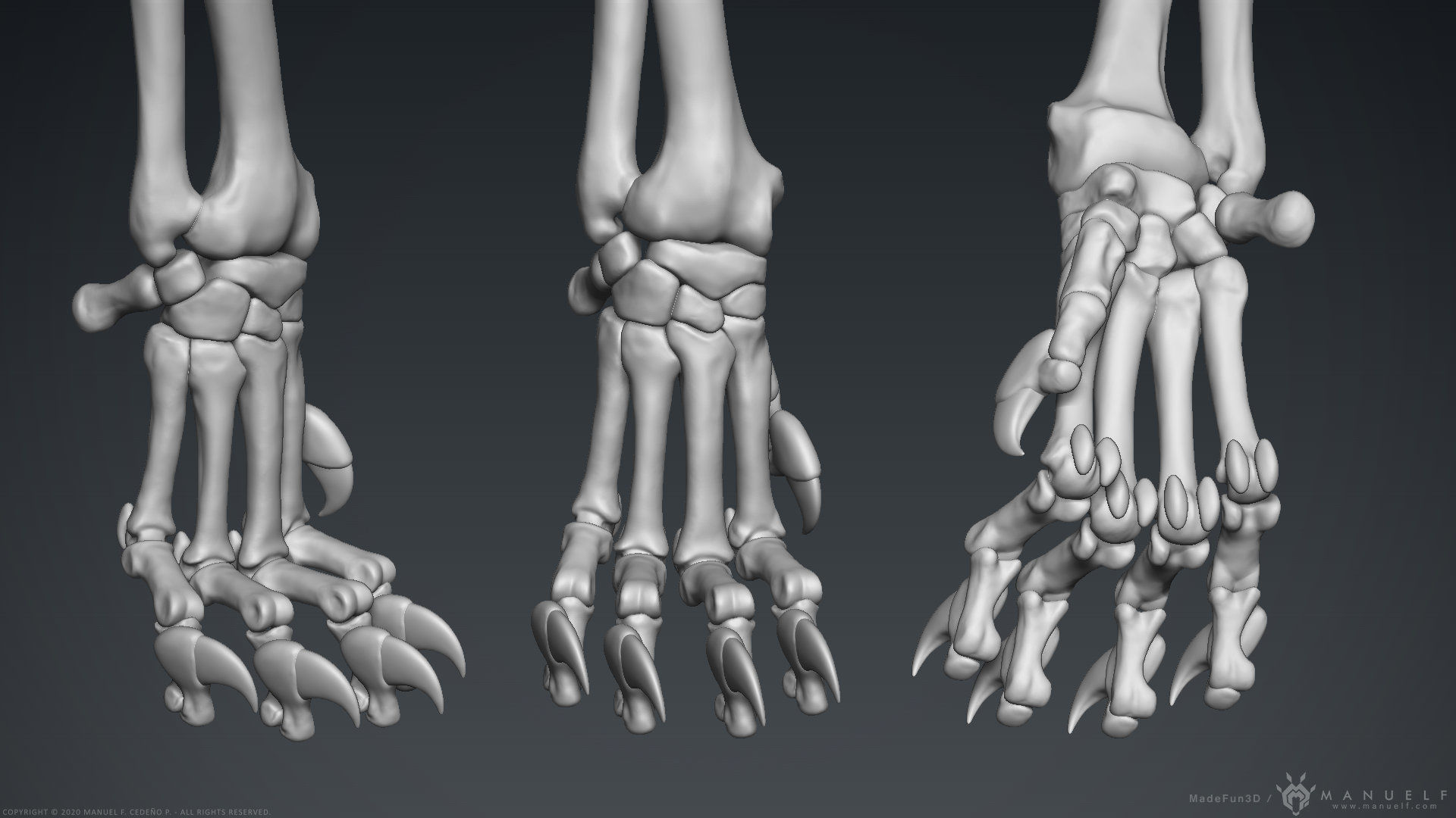 3D Lion Skeleton Sculpture 3D model_23