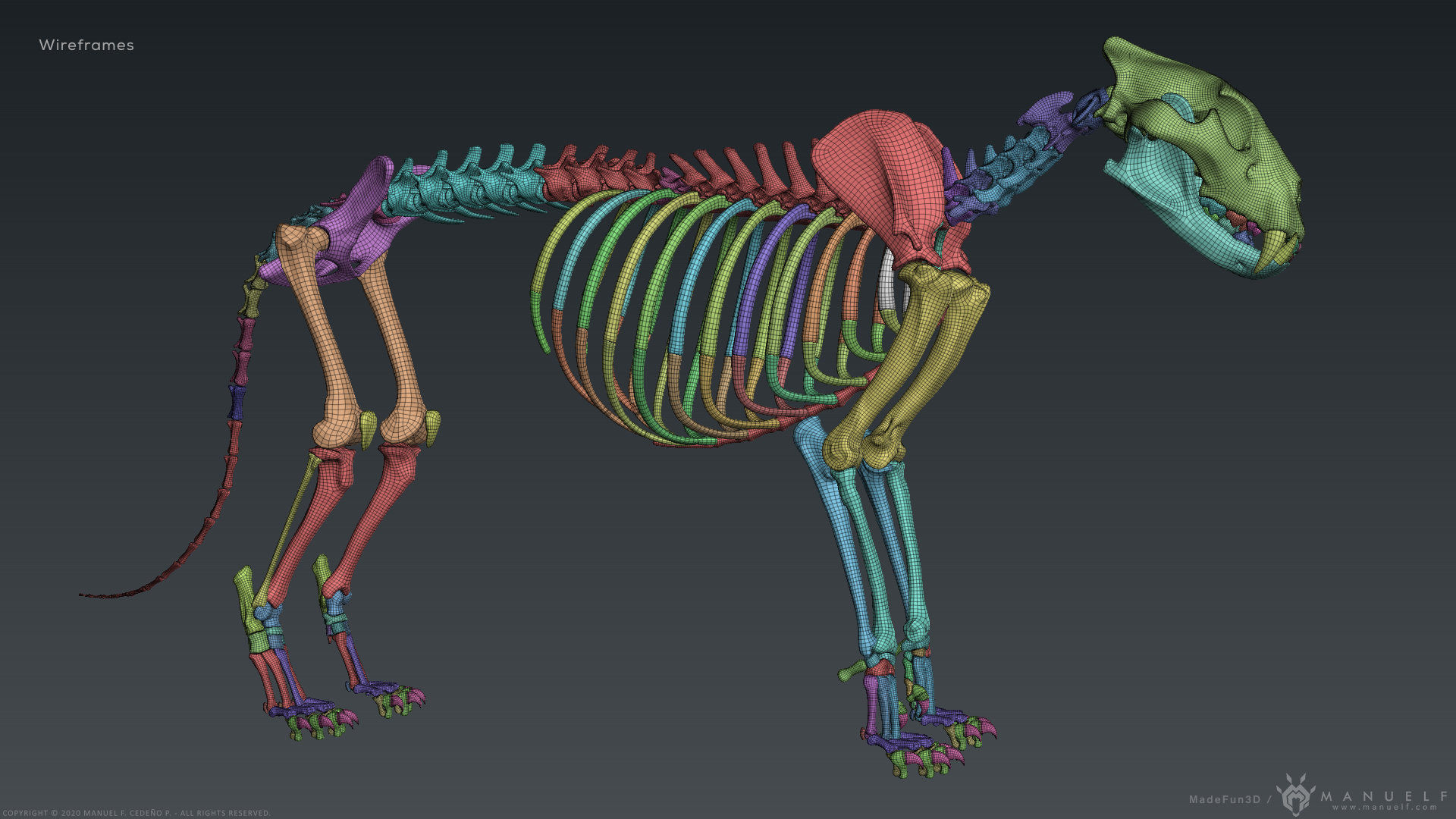 3D Lion Skeleton Sculpture 3D model_27