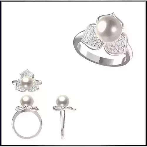 JCD Format  Format Pearl pearl ring types of jewelry files