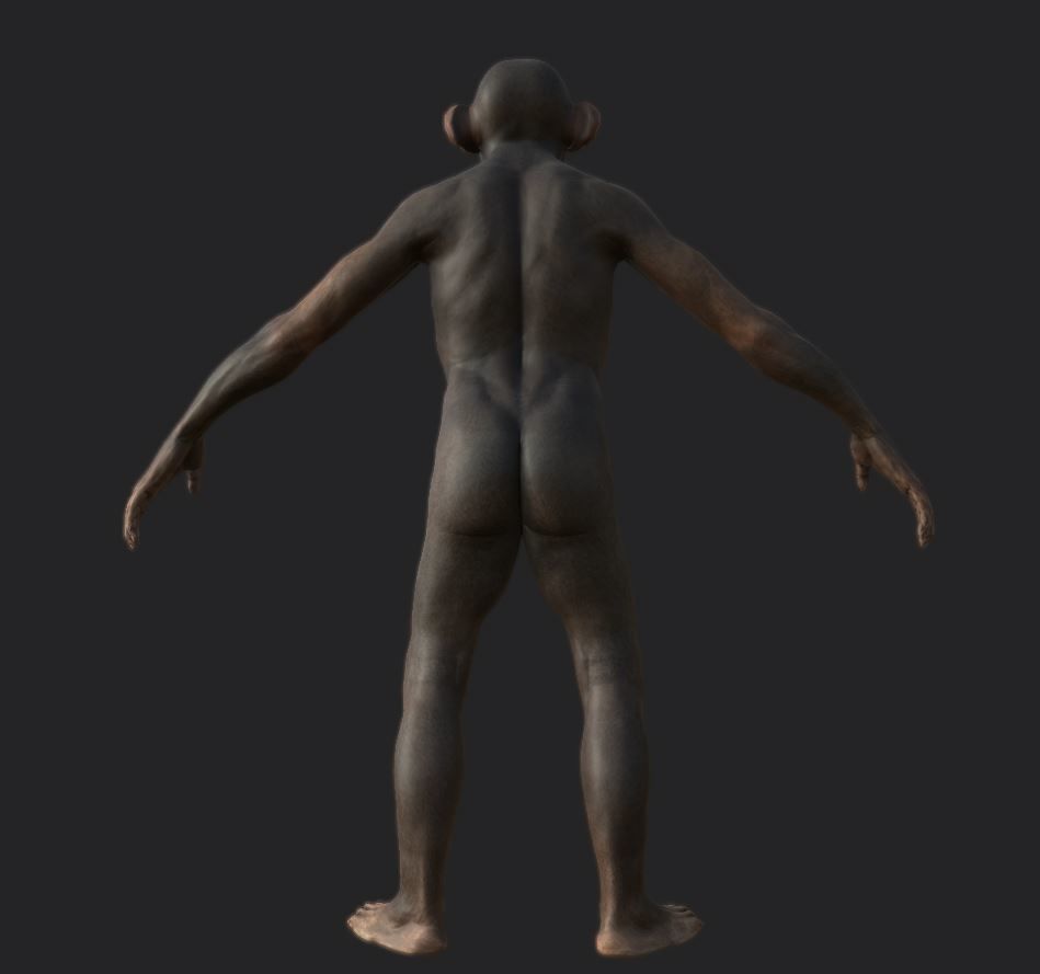 Monkey gameready PBR chimpanzee Low-poly 3D model_7