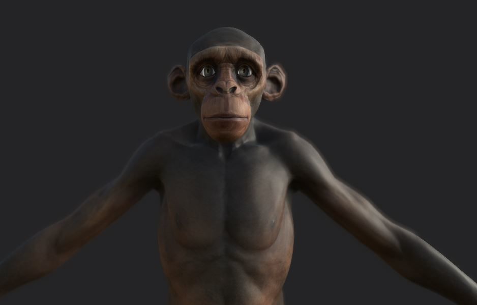 Monkey gameready PBR chimpanzee Low-poly 3D model_1