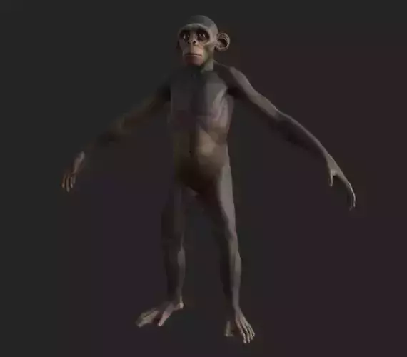 Monkey gameready PBR chimpanzee Low-poly 3D model