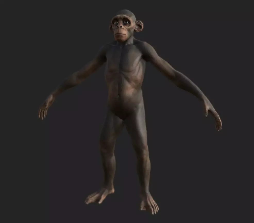 Monkey gameready PBR chimpanzee Low-poly 3D model_0
