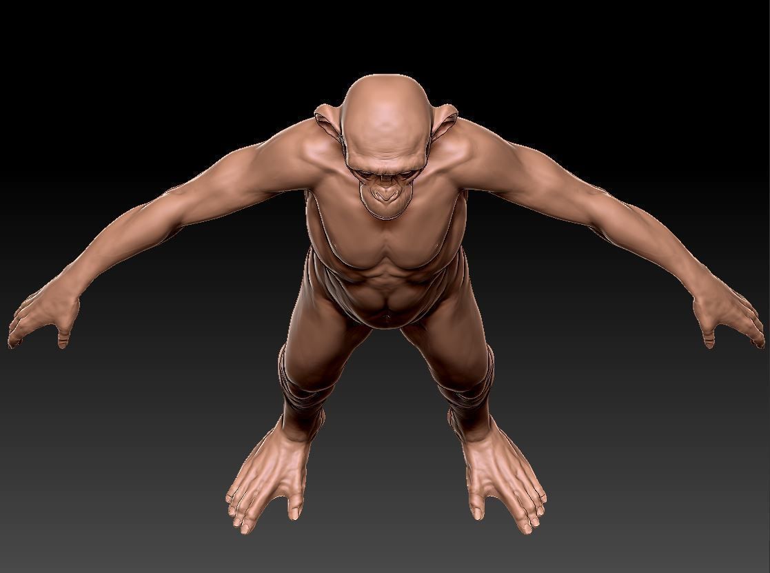 Monkey gameready PBR chimpanzee Low-poly 3D model_16