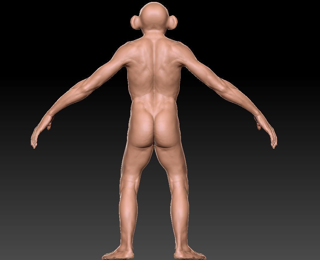 Monkey gameready PBR chimpanzee Low-poly 3D model_8