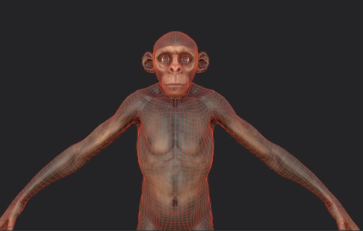 Monkey gameready PBR chimpanzee Low-poly 3D model_3