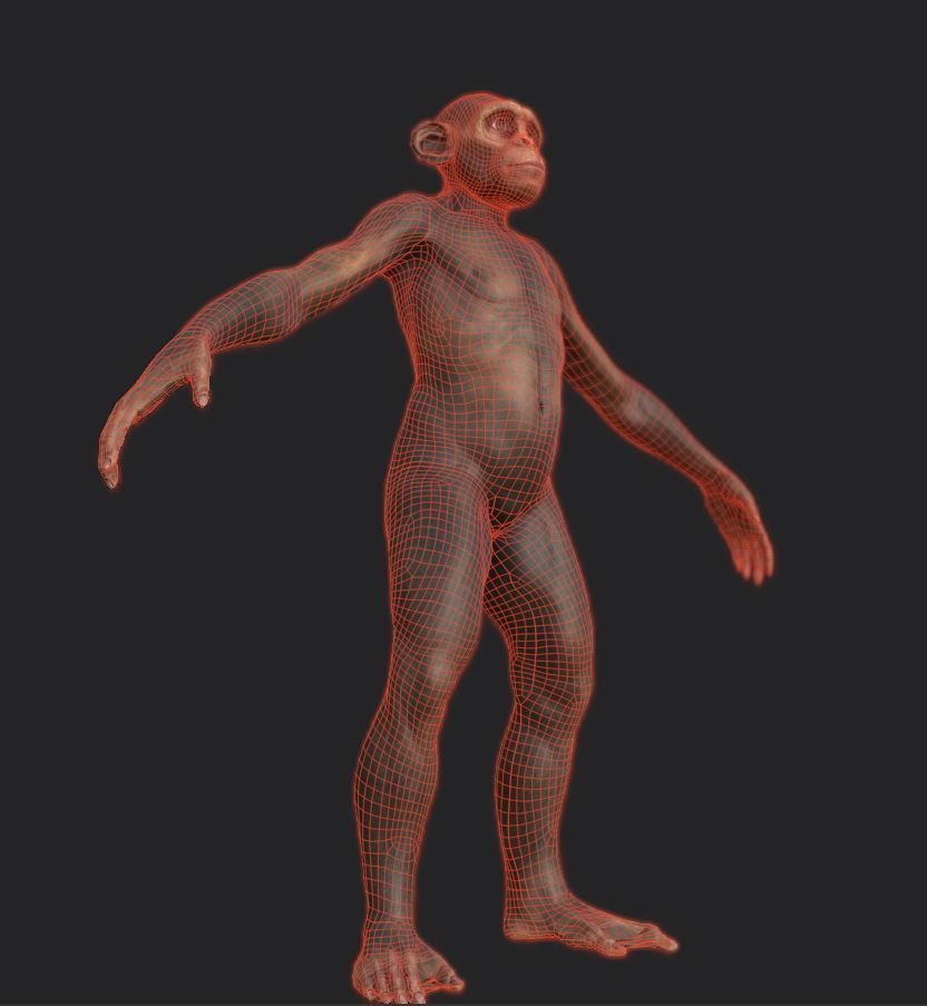 Monkey gameready PBR chimpanzee Low-poly 3D model_6