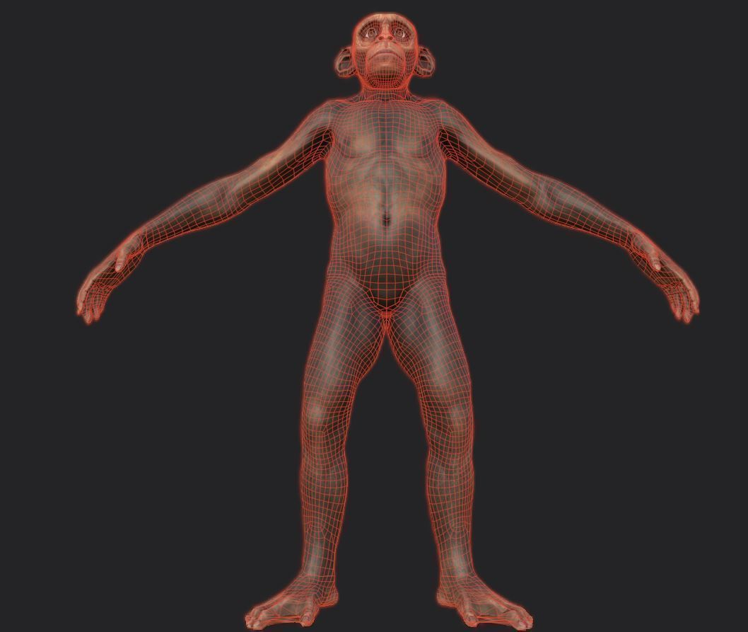 Monkey gameready PBR chimpanzee Low-poly 3D model_15
