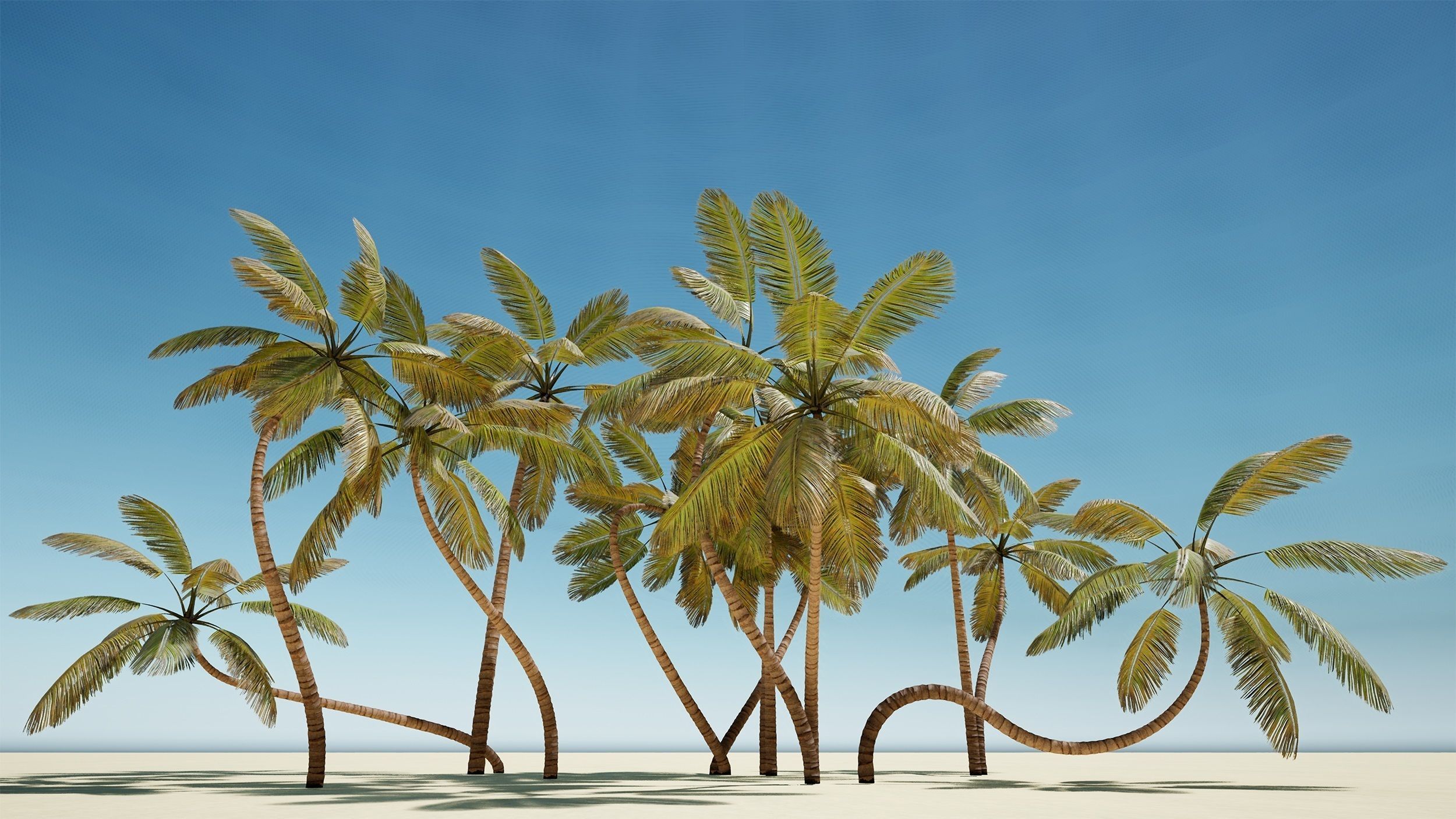 tropical Trees - Game Ready 3D Model Collection_8